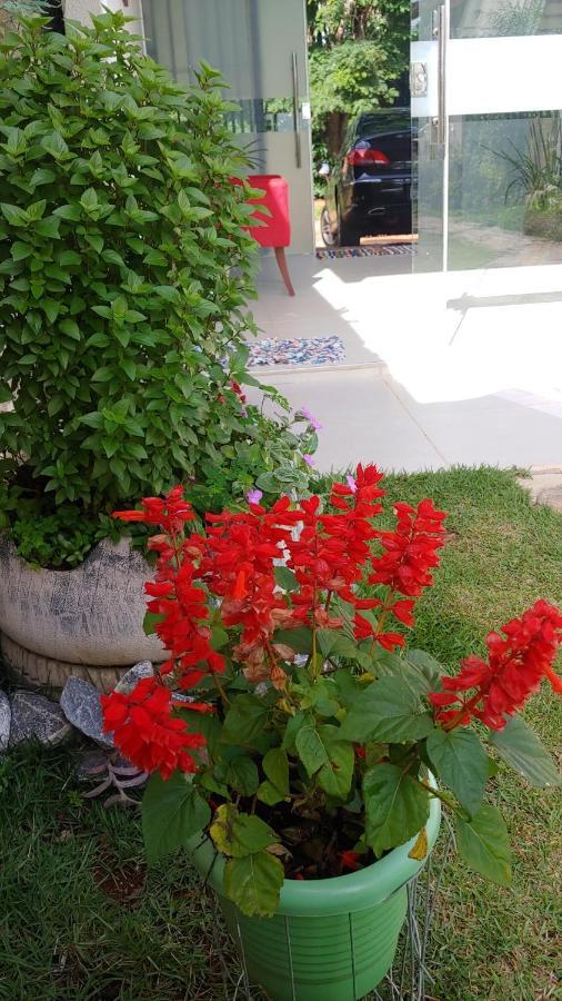 Casal Ostara Begonia Hotel Alto Paraíso de Goiás Eksteriør billede